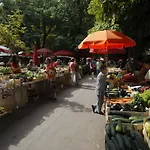 Gortanova, A1 Pula