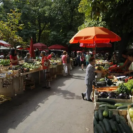 Gortanova, A1 Pula